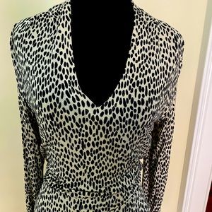 EUC Banana Republic V-Neck Leopard Print Sweater